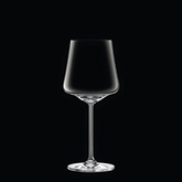 Noir Élan Wine Glass (Set Of 6)