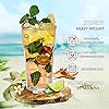 Old fashioned Juice Glass (Pack Of 6)
