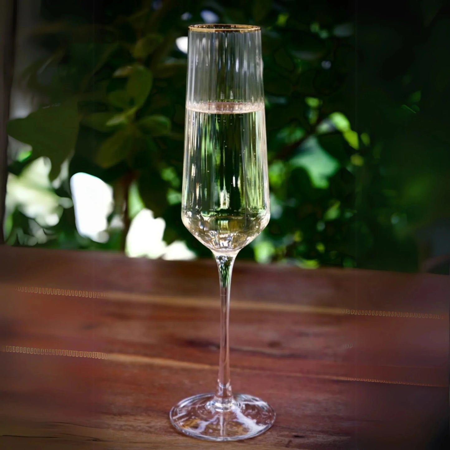 Gold Rim Champagne Glass (Pack Of 6)