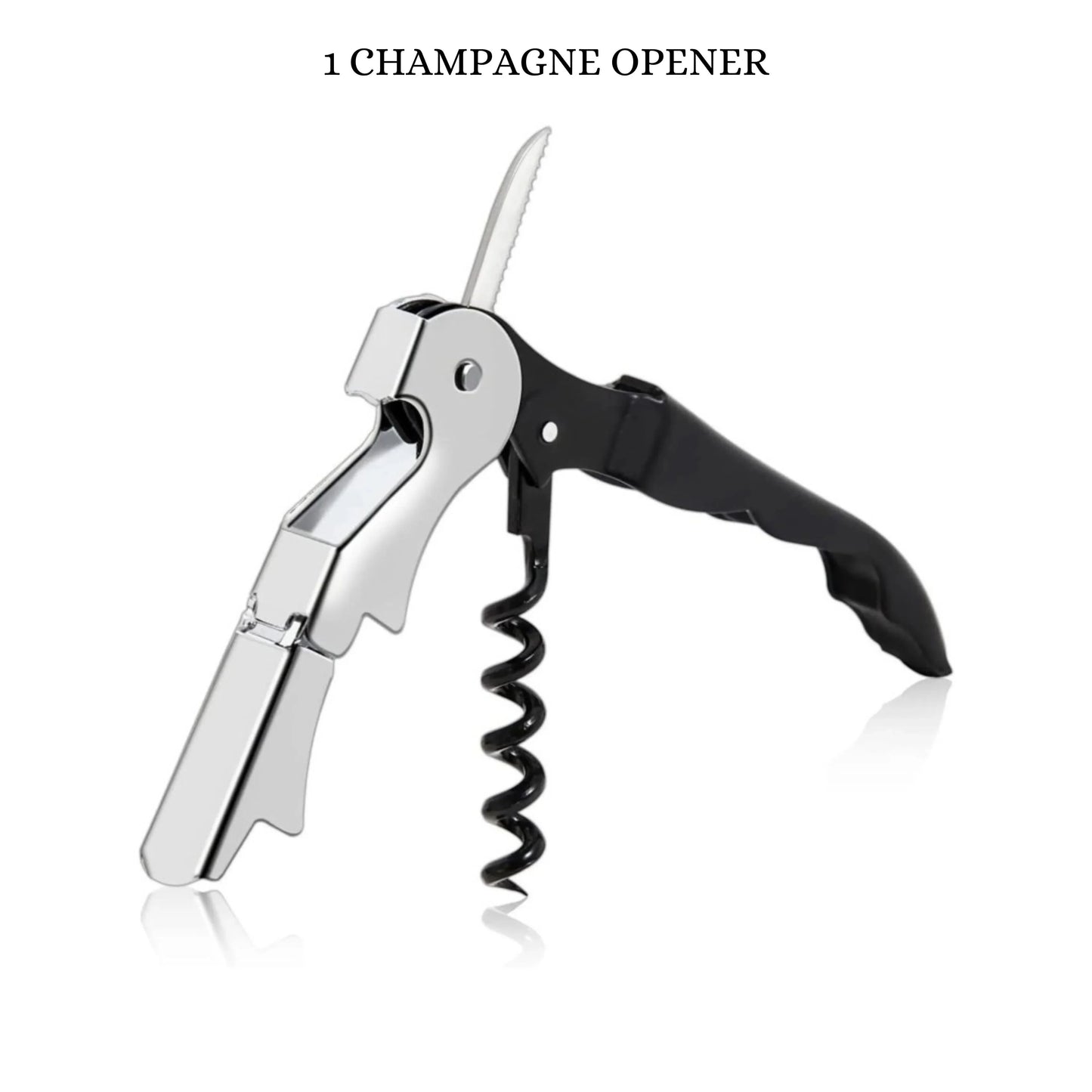 Champagne Chiller And Glasses Set